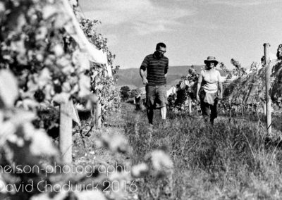 Framingham Wines Documentary Photography